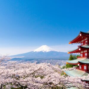 新倉山浅間公園の桜祭り中止でも、あの絶景を持ち帰れる——メイドインジャパンのメタルパズル「ZIREL 桜富士」